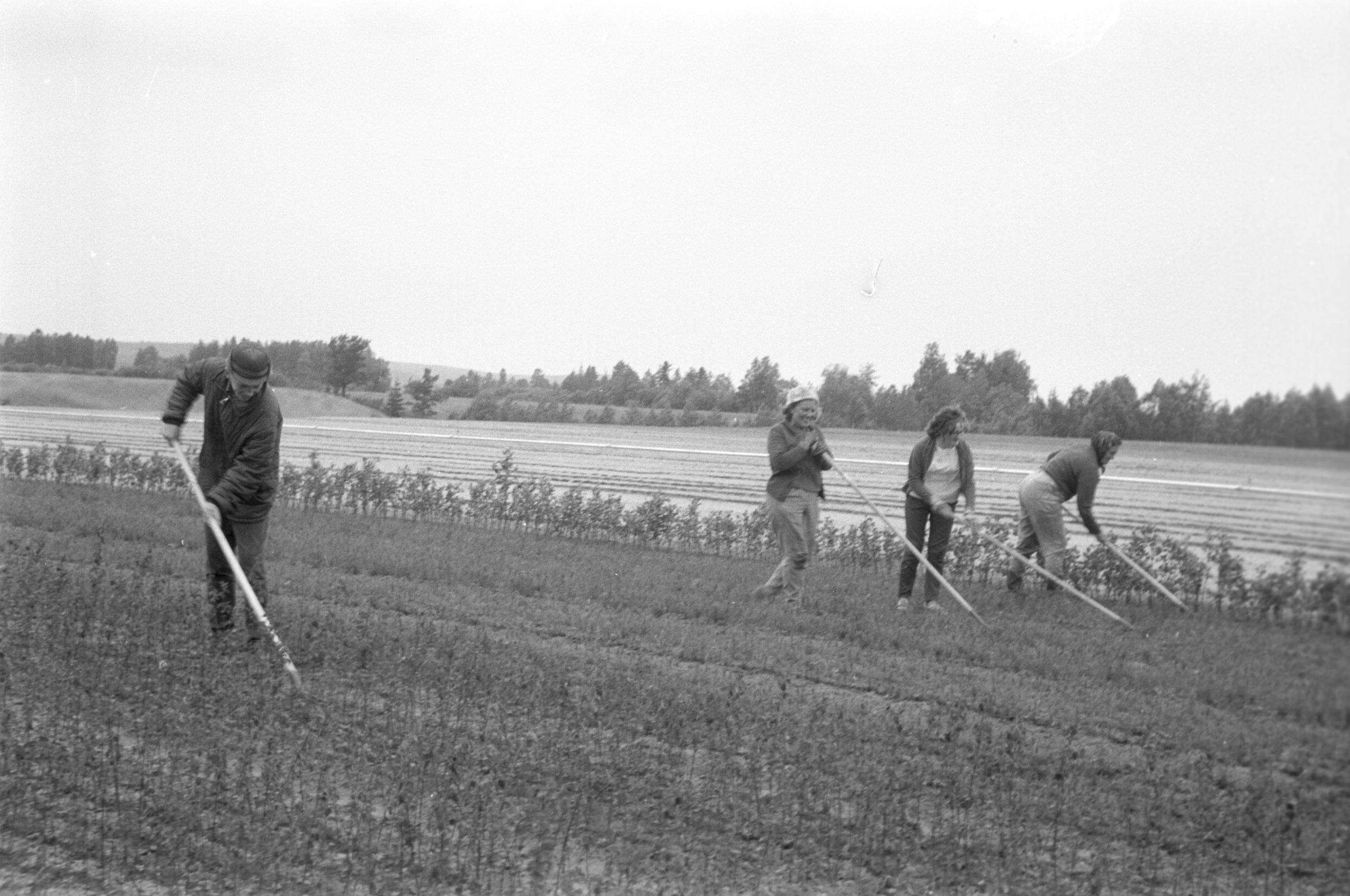 Mellanå Plant 1970-luvulla