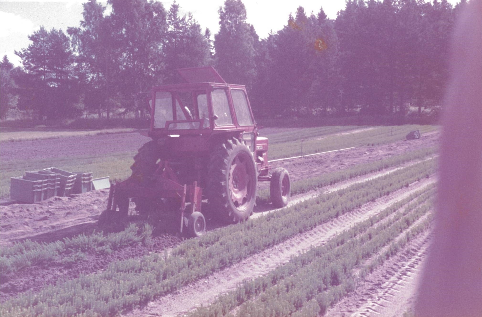Mellanå Plant traktori