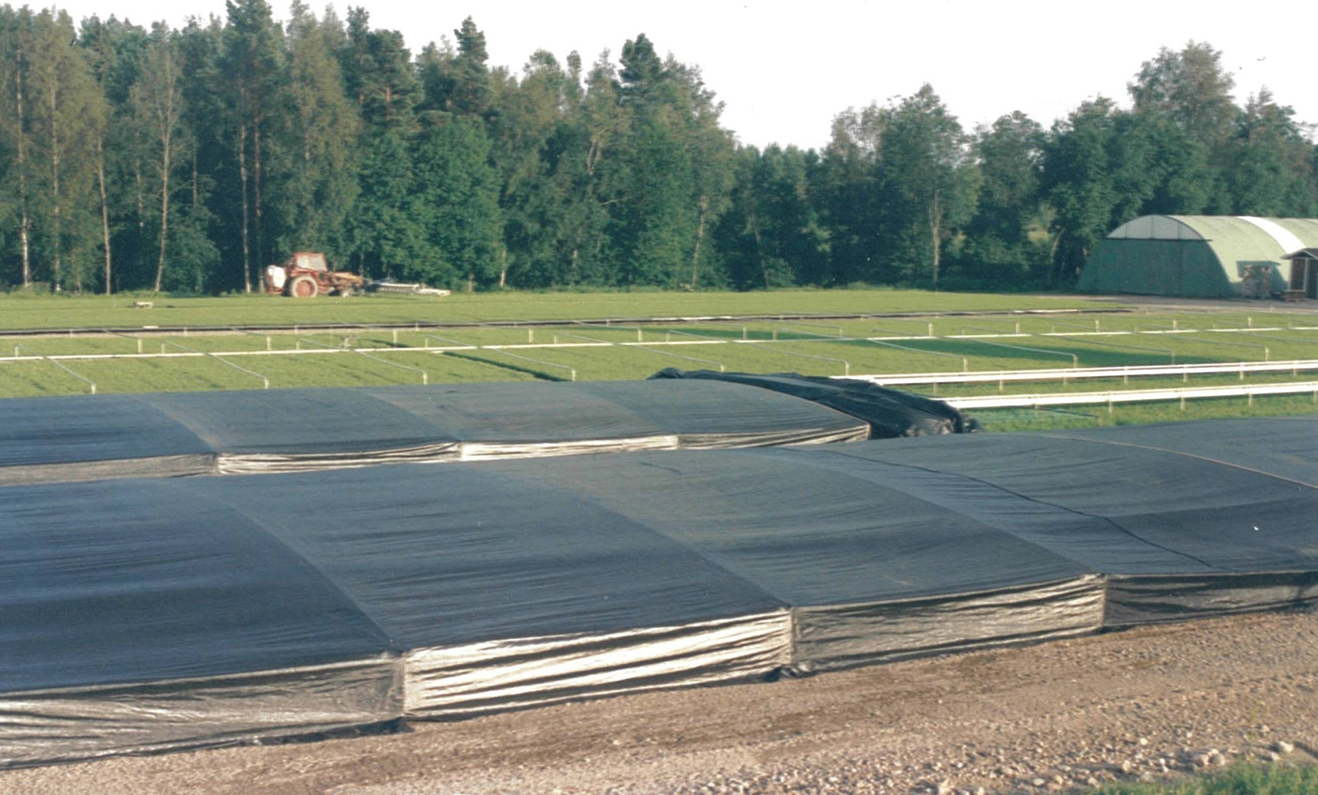 Mellanå Plant 2000-luvun