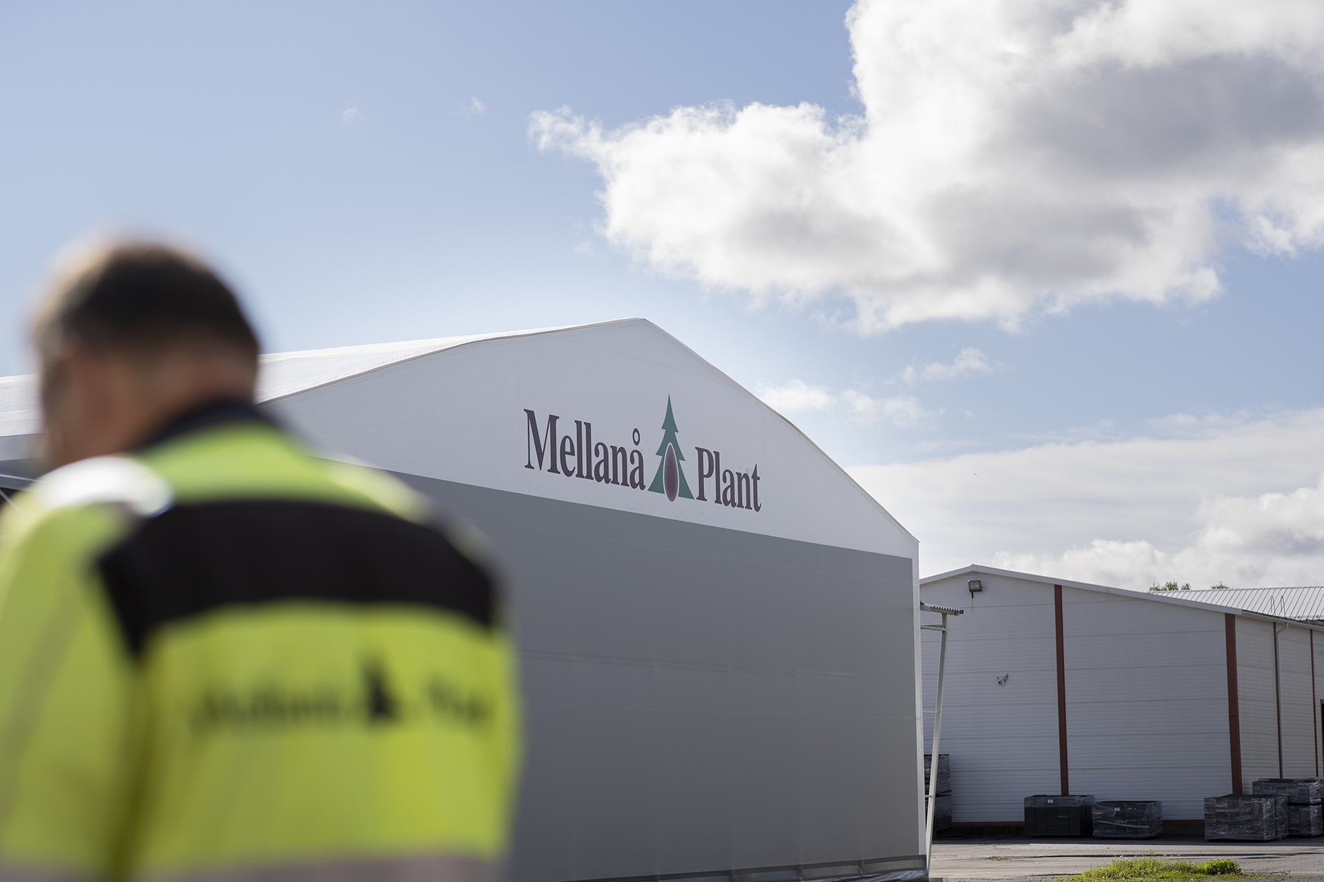 Mellanå Plant 2020-luvun