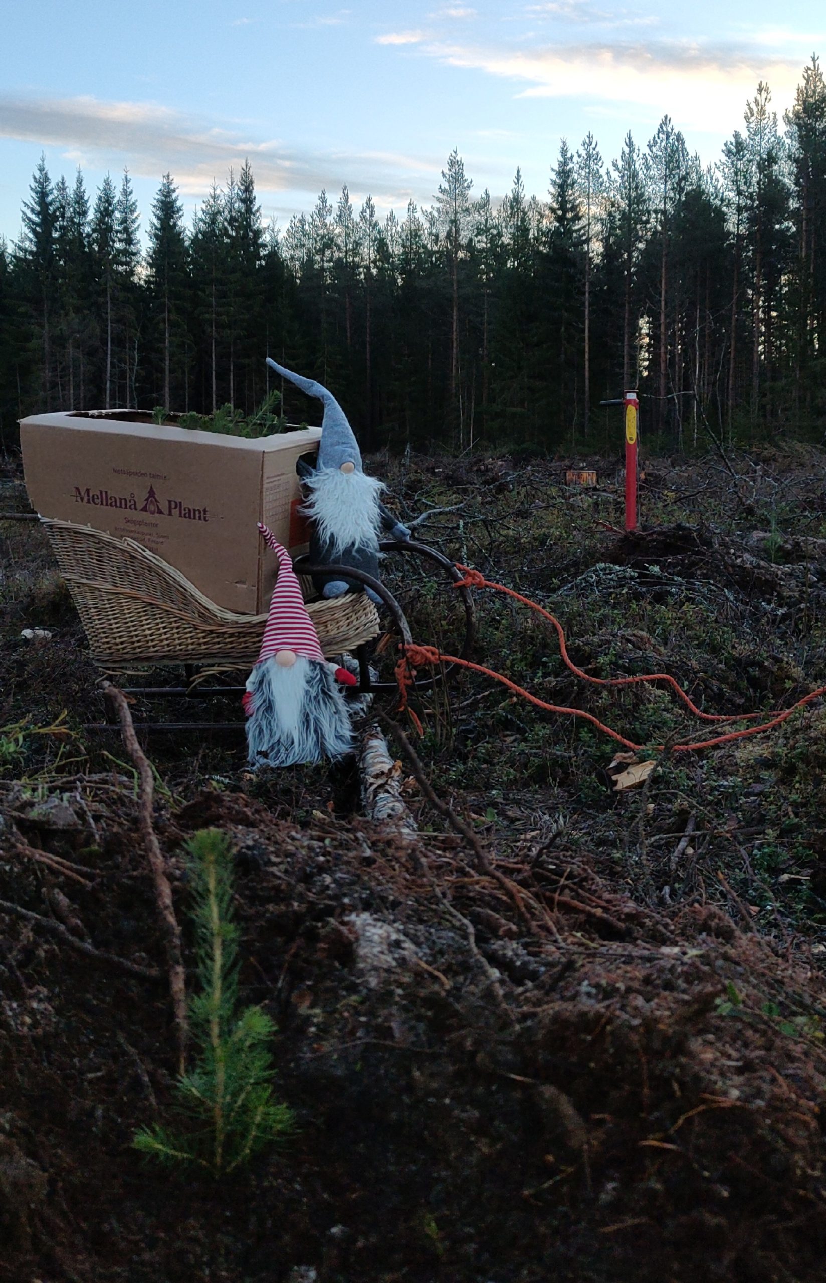 Hyvää Joulua ja Onnellista Uutta Vuotta 2026